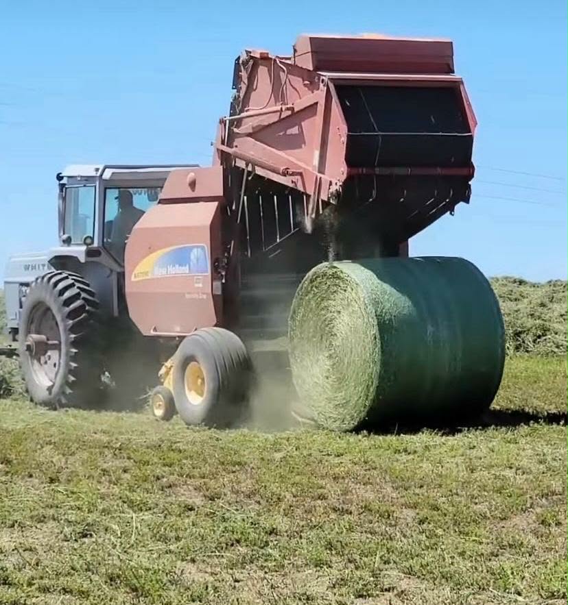 View Round Hay Bales photo 1