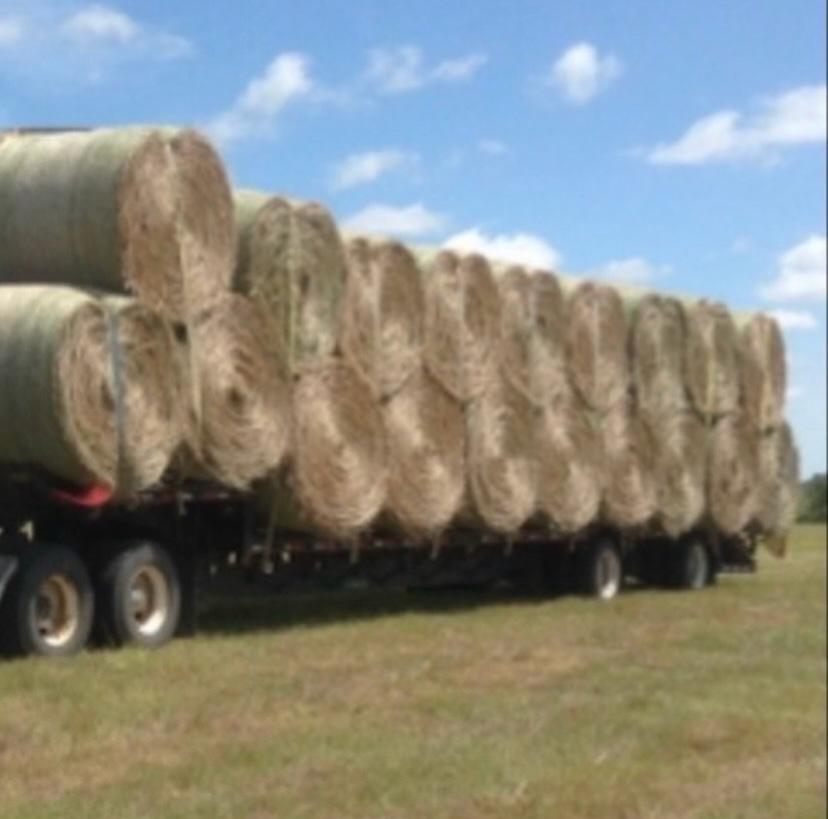 Hay Bales photo 2