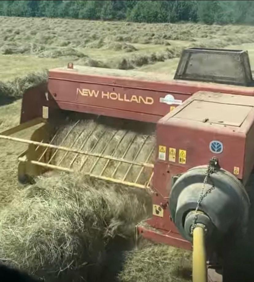 Hay Bales photo 4